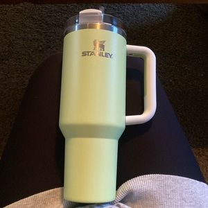 Green 40oz Stanley cup